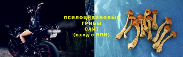молекула духа Хадыженск