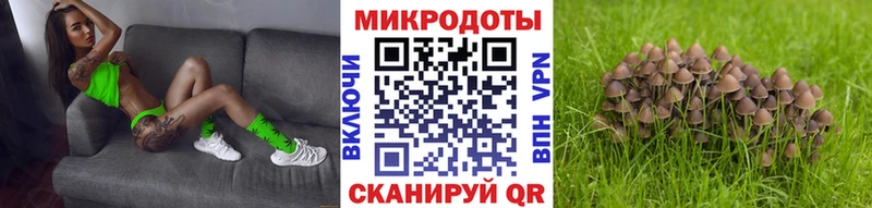 Галлюциногенные грибы мицелий где найти Духовщина