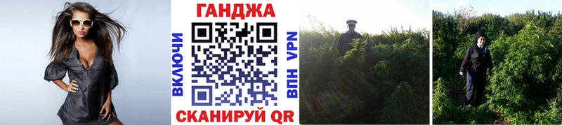 Бошки марихуана Bruce Banner  Духовщина 